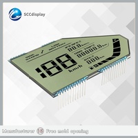 Herstelleranpassbares Blendfreies 7-Segment-Monochrom-LCD-Display GW031 Instrumententafel für Motorrad PARICOL VG-7(BS6)