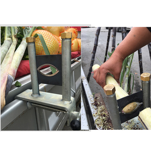 Éplucheuse de canne à sucre en acier inoxydable haute vitesse, machine à éplucher la canne de qualité commerciale pour les bars à jus et la transformation alimentaire - Product Image 4
