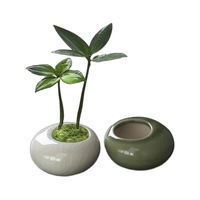 Pot Bunga Keramik Lapisan Glaze Motif Retak Es Kecil dengan Lubang Drainase untuk Sukulen, Tanaman Hijau, Bambu Podocarpus - Gaya Cina
