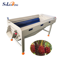 Machine industrielle de lavage de fruits et légumes, Machine de nettoyage des Dates