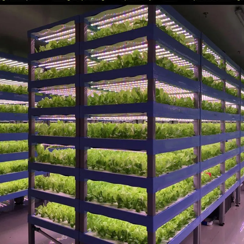 2022 spettro completo led coltiva la barra luminosa 2ft 3ft 4ft T8 hydroponics t8 led tube coltiva la luce per serra