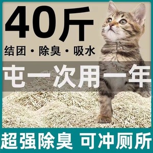 Han Shi Tofu <b>Cat</b> <b>Litter</b> Cylindrical Light Green Pink Gray Beige Odor Removing Low Dust 10kg 20kg Bag <b>Cat</b> Supplies - Product Image 5
