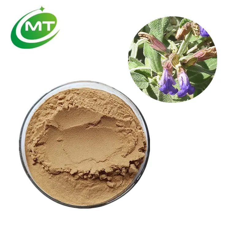 Estratto di salvia biologico S.officinalis estratto di foglie di salvia per la memoria