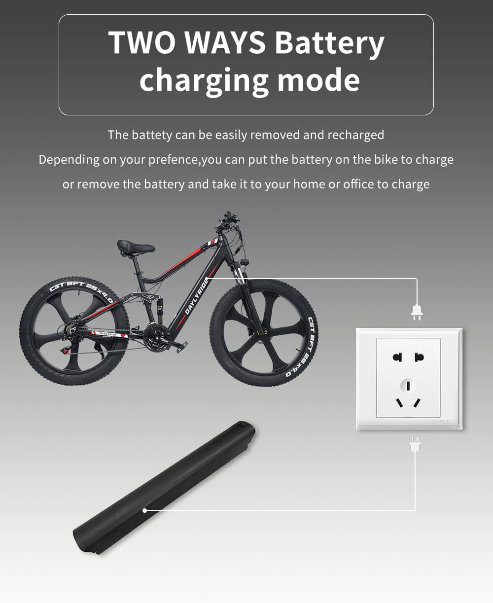 Electric bike 1000W Dailyride LEO Magnesium rims