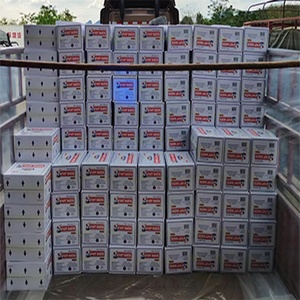 Nhà Máy Cung Cấp Chất Lượng Cao Sao Đôi Baker Ngay Lập Tức Khô Nấm Men Nhà Sản Xuất - Product Image 6