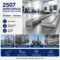 Barre plate en acier inoxydable super duplex 2507 50x10mm 75x12mm pour équipements d'osmose inverse d'eau de mer et utilisation offshore