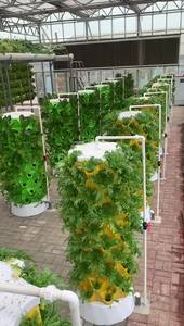 Sistema de Cultivo Vertical Hidropónico y Aeropónico para Interiores con Bomba, PVC de Grado Alimenticio, Fácil de Operar, Torre de Jardín - Product Image 6