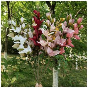 Meiyu Craft <b>Flowers</b> Single Phalaenopsis Gladiolus Silk <b>Flower</b> 30cm-100cm Wedding Decoration <b>Artificial</b> <b>Flower</b> Home Decor - Product Image 4
