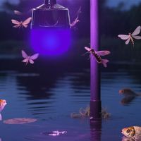 Trampa para Insectos Moderna con Luz LED Blanca, Recargable con Energía Solar, para Estanques de Peces y Jardines, con Clasificación IP65, Cuerpo de Lámpara de ABS