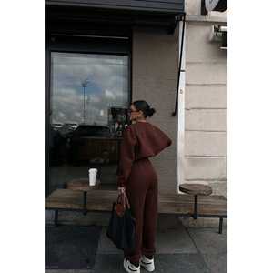 Conjunto Deportivo con Capucha Color Marrón, con Detalles Reflectantes y Transpirables, Tallas Grandes, para Invierno, con Logotipo Estampado y Lavado - Product Image 1