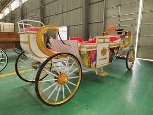 Fabricant professionnel de chariots électriques pour chevaux, chariots royaux, chariots de tourisme - Product Image 6