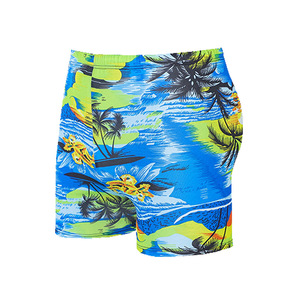 Shorts de bain pour hommes, grande taille, coupe ample, imprimés, vêtements de plage pour la natation et les sports nautiques, tissu tissé pour adultes - Product Image 4