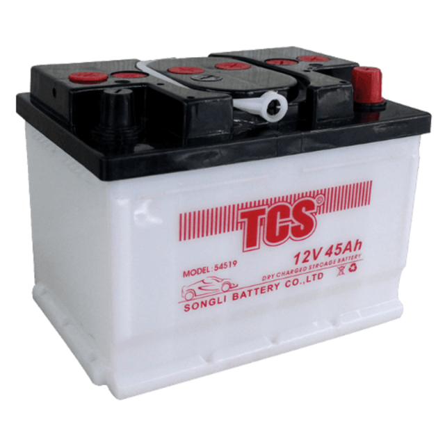 TCS Good Quality Dry Cell Automotive Battery 54519 Wholesale Prices Car Battery