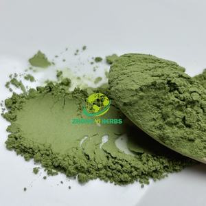 ผงอัลฟัลฟาคุณภาพสูง 100% จากพืชออร์แกนิก บริสุทธิ์ ผลิตจากโรงงาน สารสกัดจากพืช ละลายน้ำได้ตามธรรมชาติ - Product Image 3