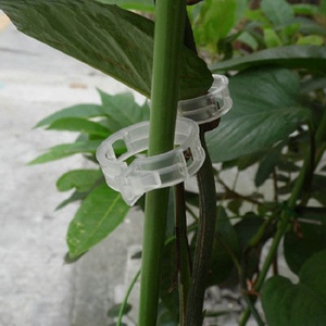 Clip per Pomodori in <span class=keywords><strong>Vendita</strong></span>, Anelli di Supporto per <span class=keywords><strong>Piante</strong></span> in Plastica Resistente - Product Image 4