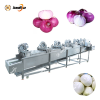 Knoflook- en uienverwerkingsmachine, uien- en groenteschiller, -snijder, -sorteermachine, uienpelschilmachine, -wasmachine, -snijmachine, productielijn