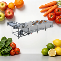 Duurzame luchtbelwasmachine, eenvoudig te reinigen structuur, multifunctionele groente- en fruitverwerkingsapparatuur met motor