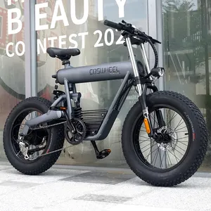 China Günstiger Preis E-Bike 48v 1000w Voll federung Fat Tire Dirt Ebike E Fahrrad Elektro fahrrad Zum Verkauf Erwachsene