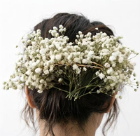 50pcs Kotak Premium Ranting Gypsophila Kering Alami untuk Seni Bunga DIY Karangan Bunga Dekorasi Pesta