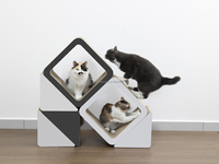 Grattoir à chat en carton 3-en-1 modulable en gros