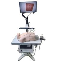 Simulateur thoracoscopique VATS, boîte d'entraînement portable pour l'endoscopie thoracique, équipement de formation aux compétences chirurgicales en sciences médicales