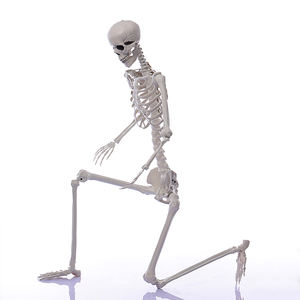 Decoração de Halloween com Esqueleto Humano Simulado para Festa em Casa de Terror - Product Image 6