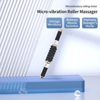 Rouleau de massage corporel professionnel modulaire à billes intérieures personnalisable, anti-cellulite