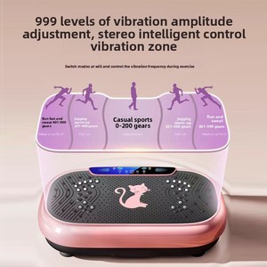 Appareil de vibration électrique pour usage domestique, machine de remise en forme pour amincir le ventre et la taille, équipement sportif rythmique en acier et ABS - Product Image 3
