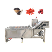 Machine de lavage et de tri des fruits, machine de lavage du manioc, machine de lavage des fruits à bulles