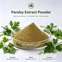 Poudre d'extrait de feuille de persil de qualité alimentaire, soluble dans l'eau, séchée par pulvérisation, pigment végétal naturel, assaisonnement aromatisant, matière première personnalisable