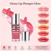Gloss à lèvres végétalien pour maquillage, marque privée, longue tenue, hydratant, brillant, effet repulpant, vente en gros