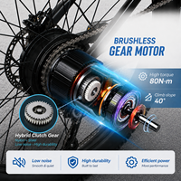 Vélo de montagne électrique Chamrider DM427 48V Double batterie Charge lourde Cargo Moteur sans balais électronique Freins à disque hydrauliques Vélo électrique