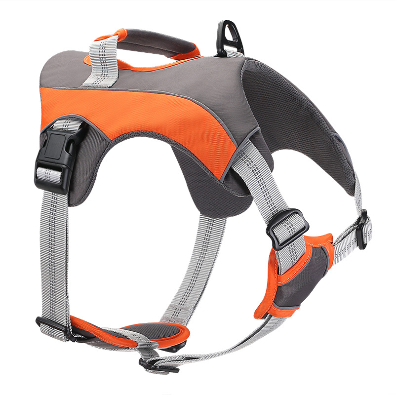 Orange sportif