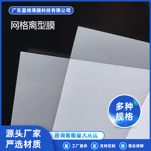 Película de Rejilla Transparente Azul para Mascotas, Película de Rejilla para Mascotas con Alta, Media y Baja Resistencia de Adhesión, Aplicaciones Electrónicas - Product Image 3