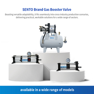STW-05-A-L-G(20L) STW-05-A-L-G(20L) 5x Ratio Air/<strong>Nitrogen</strong> Booster Valve, Space Saving, Easy Maintenance - Product Image 3