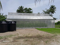 Serre agricole et commerciale extérieure à structure métallique monopente, couverte de PE, 6x15m, avec système de ventilation et toit parapluie