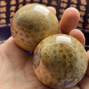 Venta al por Mayor de Esferas de Jade Coral Natural, Fósiles de Bola, Cristal Curativo para Decoración Feng Shui - Product Image 4