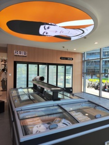 Plug-in loại đảo ngực Tủ đông DIB để lưu trữ thực phẩm thịt đông lạnh - Product Image 5