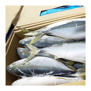 Peixe Congelado de Boa Qualidade, Corvina Amarela Inteira com Tamanho de 6-8KG e 8-10KG - Product Image 4