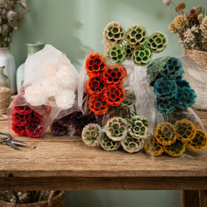 Flor Natural Preservada y Seca de Scabiosa Pristimera, Follaje Eterno, Tipo Molinillo, Cabeza Única, para el Día de la Madre - Product Image 2