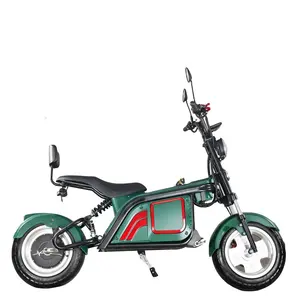 Xe Điện Chopper 2500W Xe Máy Điện Có Ghế Cho Người Lớn