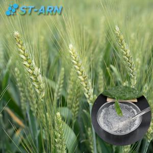 สารกักน้ำโพแทสเซียมโพลีอะคริเลต ปุ๋ยไฮโดรเจลสำหรับการเกษตร  ลดราคาพิเศษ - Product Image 4