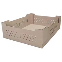 Boîte d'emballage en carton d'expédition de volaille robuste personnalisée 25 50 100pcs boîte d'oiseaux poussins vivants