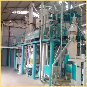 Nigeria Ngô Trắng Hoàn Thành Thiết Lập Cao Tự Động Mill Line