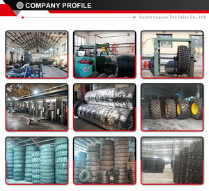 700/45-22.5 710/40-24.5 מותג טיאנלי יערות אחיזה צמיגי ציפה Fg 600/50-22.5 650/45-22.5 צמיג חקלאי - Product Image 6