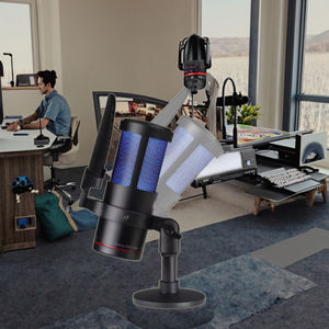 Microphone professionnel de Studio à condensateur de type C pour l'enregistrement de podcasting en streaming <span class=keywords><strong>Youtube</strong></span> matériau métallique antibruit filaire - Product Image 5