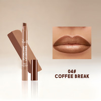Rouge à lèvres hydratant brillant à double teinte avec crayon contour des lèvres pigmenté 2-en-1, marque privée en gros