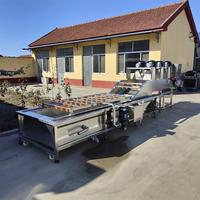 Groothandelsprijs Commerciële Multifunctionele Fruitvlees Wassen Bladgroenten Meloen Proces Bubble Wasmachine
