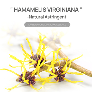 Sérum Minimiseur de Pores LANBENA, Sérum pour Fermer les Pores, Sérum Réducteur de Pores pour le Visage - Product Image 2