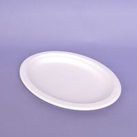 Teanhe P020 Ensemble de vaisselle jetable 100% biodégradable, assiettes ovales de 10 pouces en pulpe de bagasse compostable pour mariage
